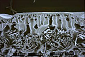 微多孔被膜の断面