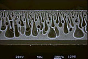 微多孔被膜の断面