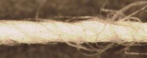図4. 紡績糸（スパンヤーン）の例