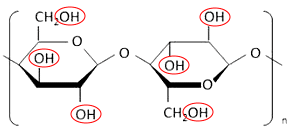 図5　セルロース系繊維の化学構造(赤印:水酸基を示す)