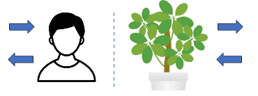 人間と植物のガス交換のイメージ