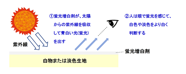 図3. 蛍光増白剤のメカニズム