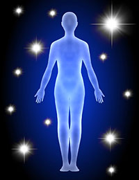 図6.人体の要素