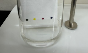 図4：水に浸したろ紙