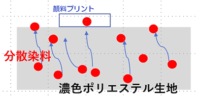 図22.分散染料のマイグレーションのイメージ(顔料プリントの場合)